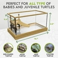 thumbnail image 6 of Turtle Aquarium Kit Series - New - Aquatic Turtle Tank with Filter and Light + Turtle Basking Platform, Small Turtle Tank for Baby & Juvenile Turtle, Perfect Turtle Starter Kit for Kids, 6 of 14