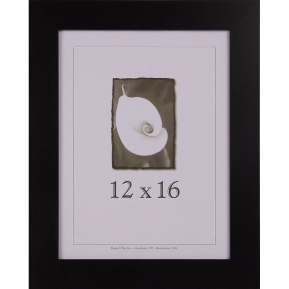 12x16 Black Wood Frames - Affordable Series (Large)