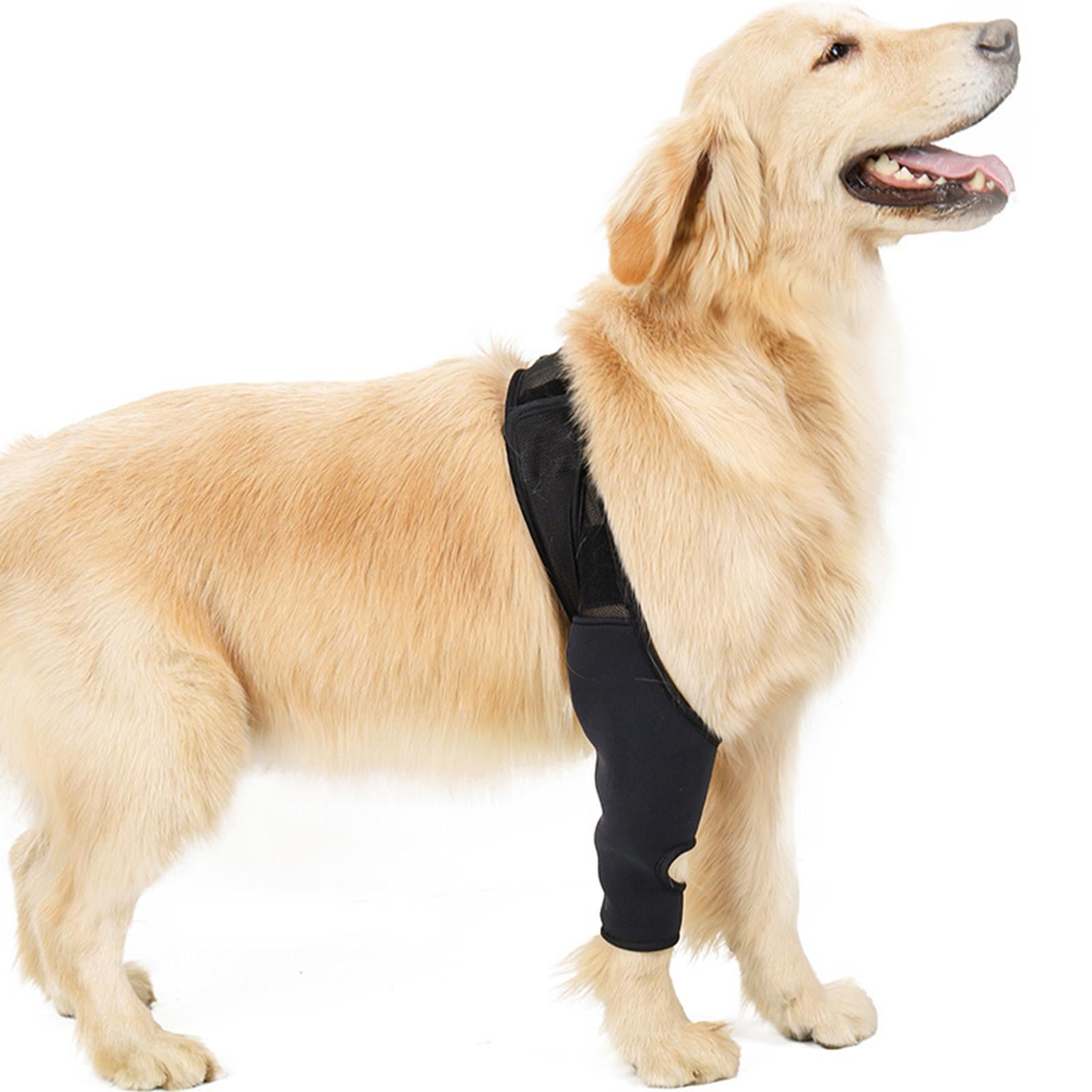Dog Elbow Protector Dog Elbow Brace Protector Pads Neoprene Elbow Sleeves Pad XS Walmart