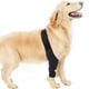 thumbnail image 4 of Coderas y rodilleras ajustables para perros XS, 4 of 9