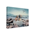 thumbnail image 2 of Trademark Fine Art 'The Rincon Explorers' Canvas Art by Les Ray, 2 of 3
