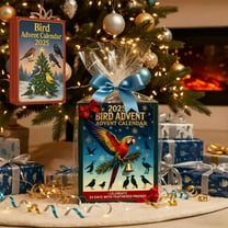 Hummingbird Advent Calendar Bird Advent Calendar 2025 with 24 Acrylic Ornaments Christmas Countdown for Tree Mantel Windows Home Seasonal Decoration