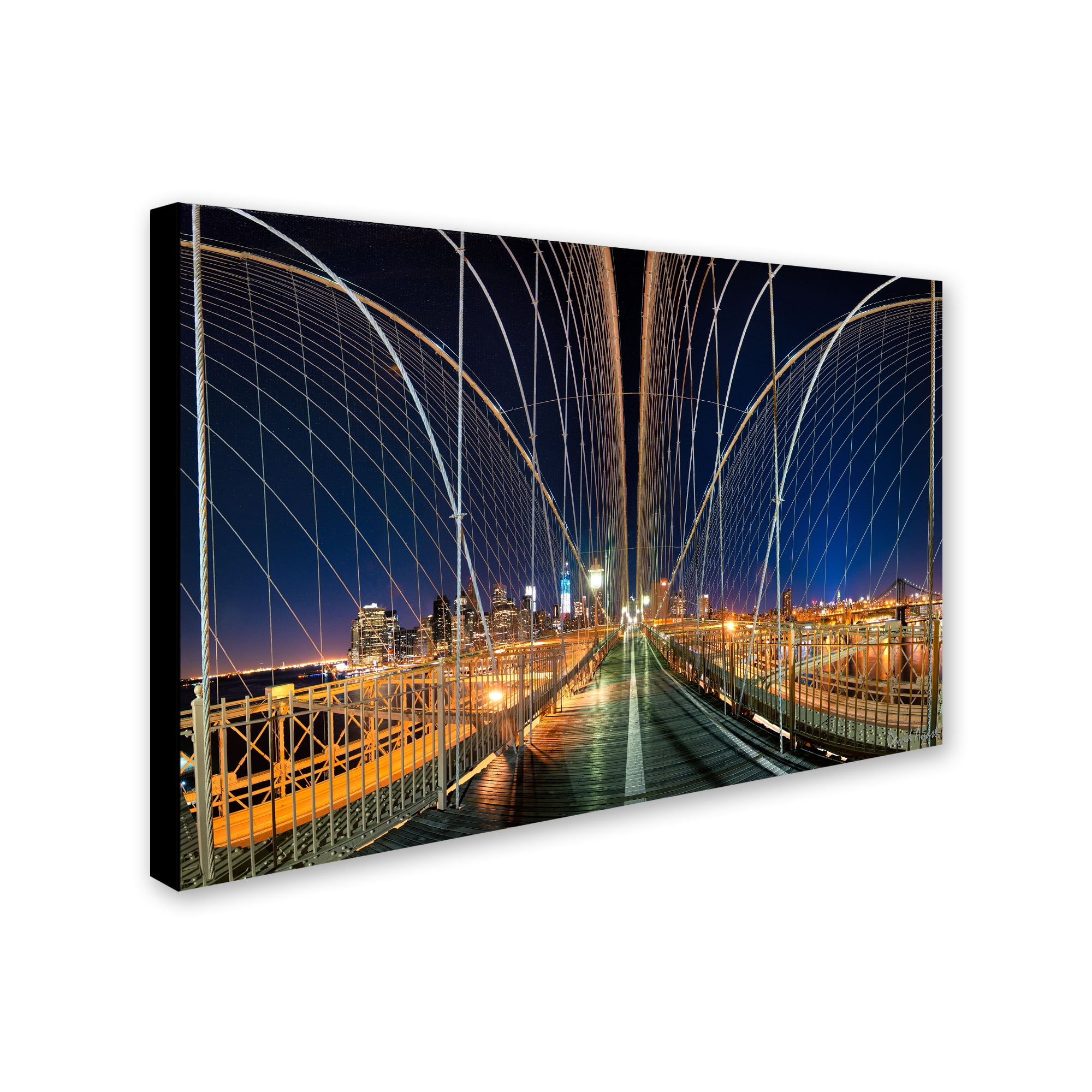 Trademark Fine Art "Brooklyn Bridge Panorama" Canvas Art by David Ayash