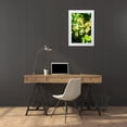 thumbnail image 3 of Hausenflock, Alan 23x32 White Modern Wood Framed Museum Art Print Titled - Sunny Vineyard I, 3 of 4