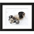 thumbnail image 2 of National Zoological Park Giant Panda, Animals Framed Art Print Wall Art Sold by Art.Com, 2 of 5