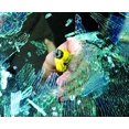 thumbnail image 4 of ResQme Car Escape Tool - Safety Yellow (110.100.09), 4 of 4