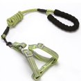 thumbnail image 1 of Dog Harness And Leash Set, Adjustable Vest Harness For Small Medium Large Dogs Outdoor Training Walking, Comfortable Oxford Easy Control Heavy _jiue, 1 of 2