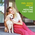 thumbnail image 6 of MediNatura T-Relief Pet Arthritis Pain Relief Arnica +12 Powerful Natural Medicines - Fast-Acting Soother for Dog & Cat - 1.69 oz, 6 of 7