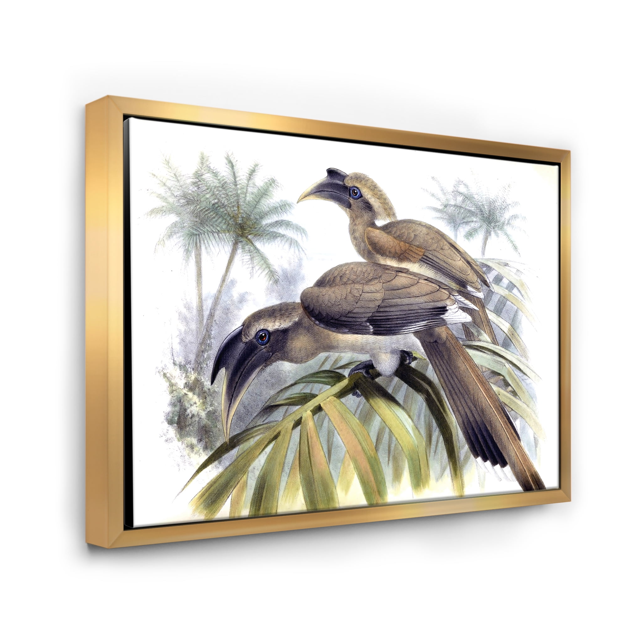 Designart 'Ancient Australian Birds XIV' Traditional Framed Canvas Wall Art Print