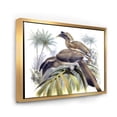 thumbnail image 3 of Designart 'Ancient Australian Birds XIV' Traditional Framed Canvas Wall Art Print, 3 of 5
