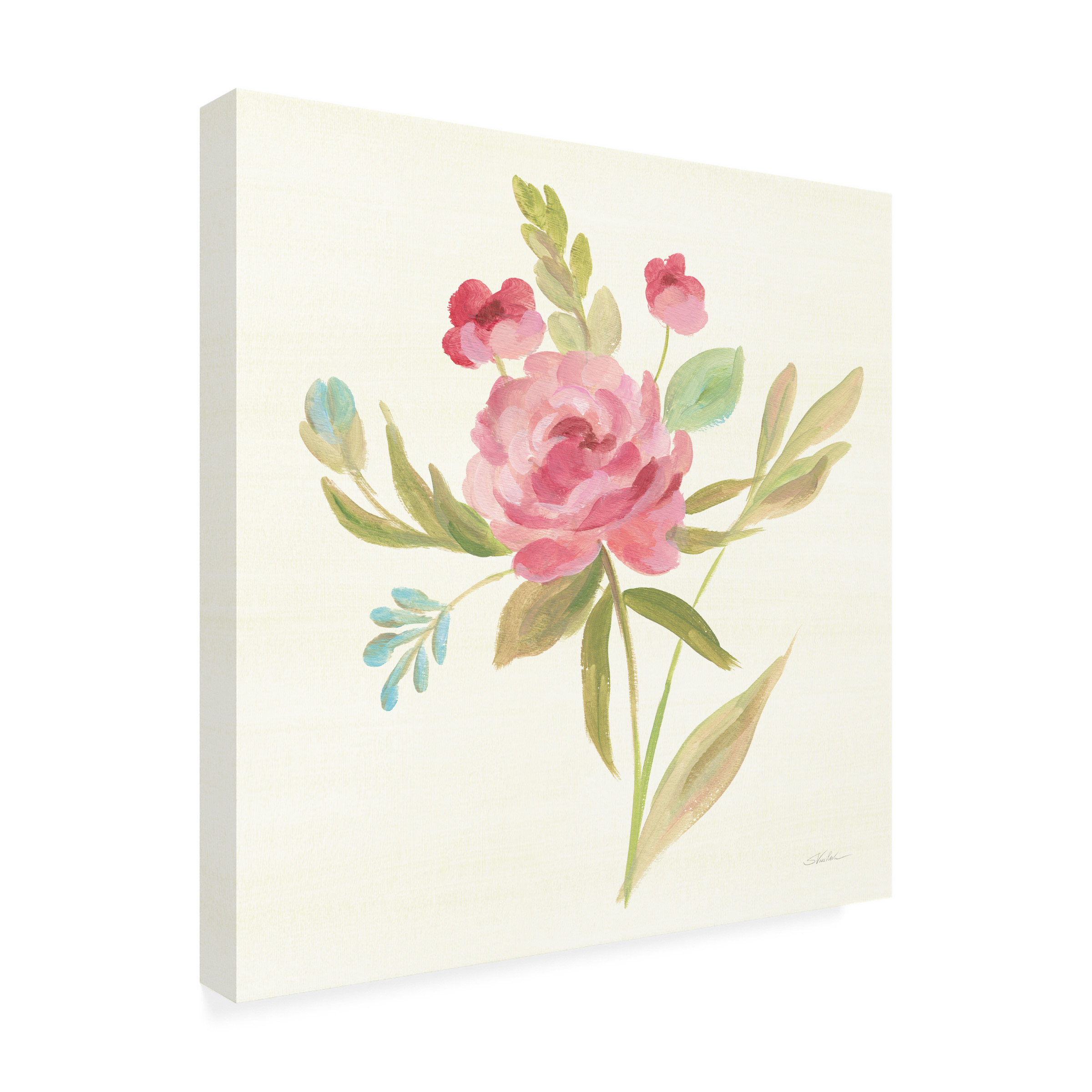 Trademark Fine Art 'Petals and Blossoms V' Canvas Art by Silvia Vassileva