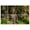 Color 3, variant on 8 Pack Art Acoustic Panels Sound Absorbing Stained Glass effect Depicting Holy Family Star Art Decorative Soundproof Wall Panels Self Adhesive for Recording Studios Office 48"x32"