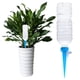 thumbnail image 1 of Artefacto Riego Automático Flores Dispositivo Riego Flores Riego Por Goteo Gotero Ajustable Permeador Caudal Herramienta Riego Automático (azul) Color Aleatorio, 1 of 9