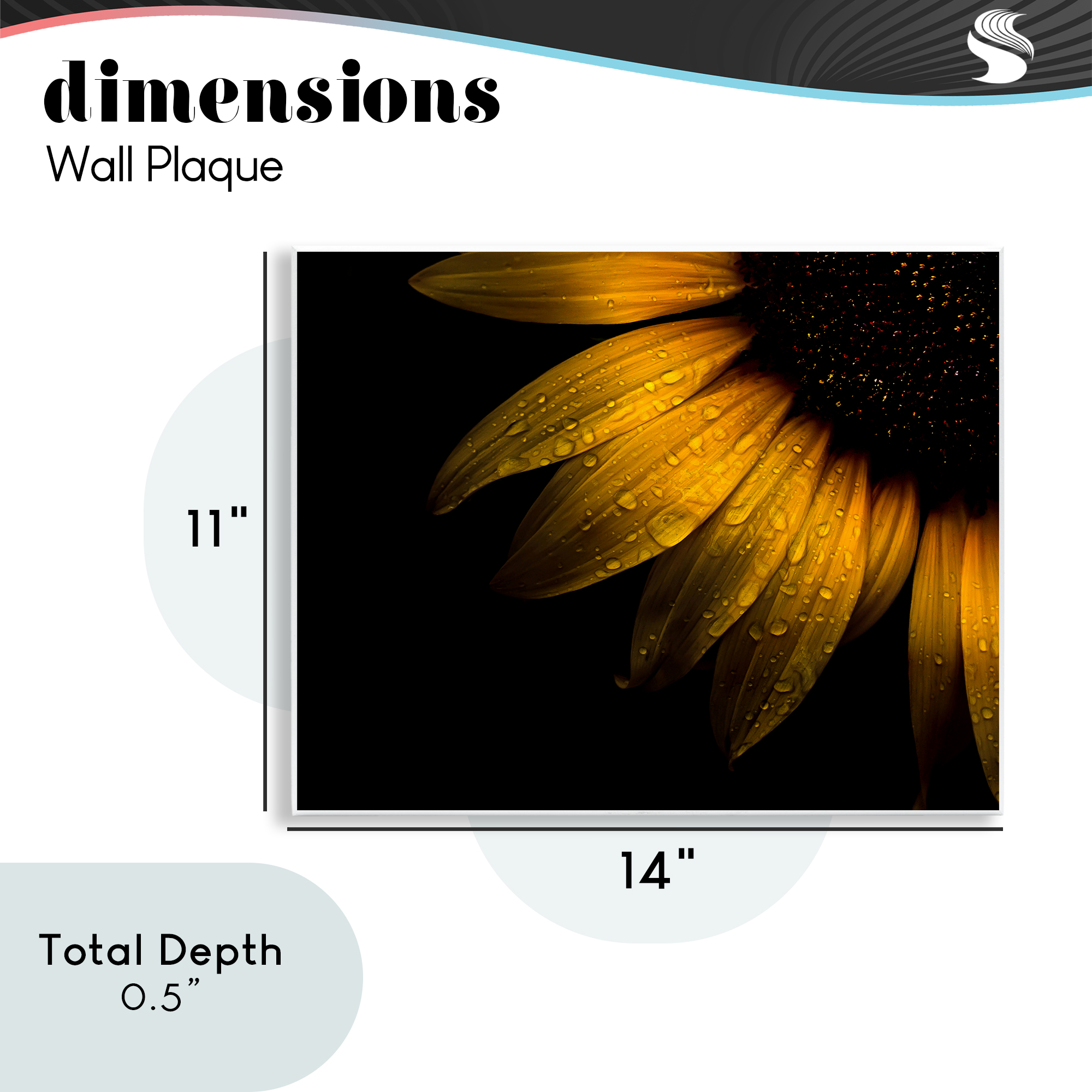 Water Droplets on Sunflower Wall Plaque Art, design by Brian Carson Photography