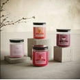 thumbnail image 2 of Candle-Lite Juicy Black Cherries Scented Candles Set, Aromatherapy, 2 Pack 6.5 oz Single-Wick Jar, 40 Hours of Burn Time, Perfect for Gifting and Celebration, 2 of 3