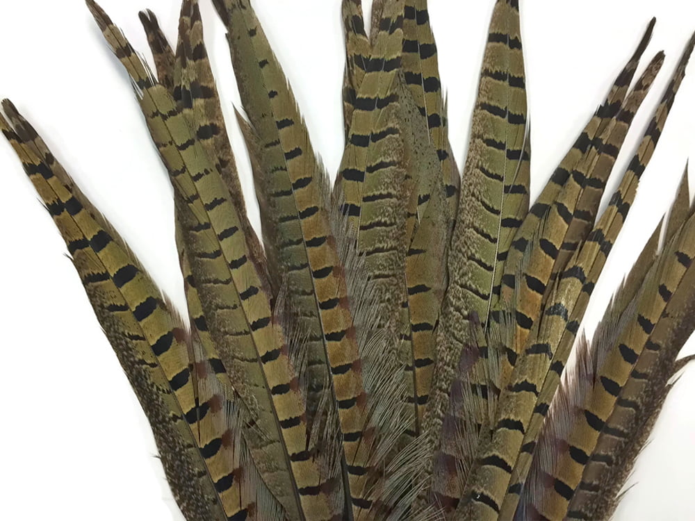 Details about   Blue Pheasant Tail set of 12