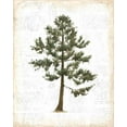 thumbnail image 2 of Adams, Emily 26x31 White Modern Wood Framed Museum Art Print Titled - Into the Woods Trees I, 2 of 4