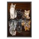 thumbnail image 1 of Cuadros Decorativos Bordado completo Hilo de algodón ecológico (11CT) (Contado) Cat Tiger Cross Stitch Craft Wdftyju embutido en tela, 1 of 9