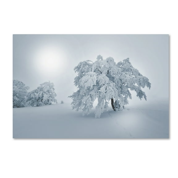 Trademark Fine Art 'A Cold Winter Morning' Canvas Art by Philippe Sainte-Laudy