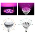 thumbnail image 4 of LED Grow Light Bulb for Indoor Plants Sunlike Full Spectrum LED Grow Lamps for Succulents, 4 of 8