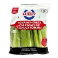 thumbnail image 1 of Corazones de lechuga Mr. Lucky orejona 3 piezas, 1 of 4