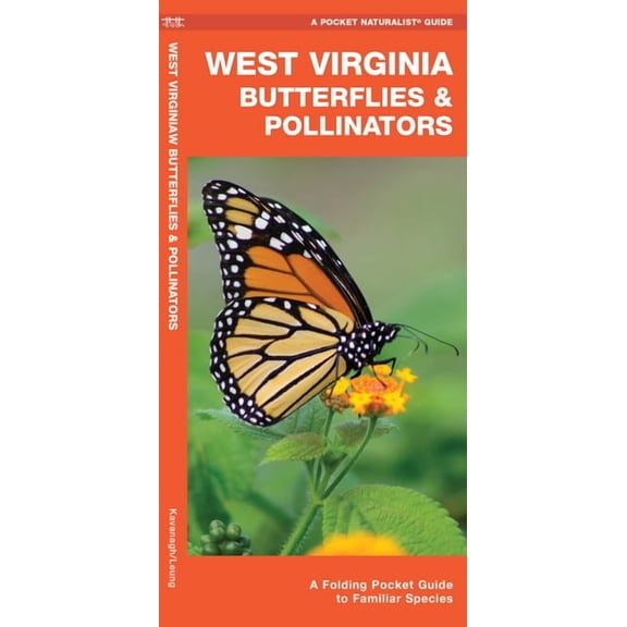 West Virginia Butterflies & Pollinators : A Folding Pocket Guide to Familiar Species (Other)