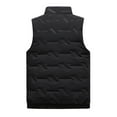 thumbnail image 3 of Homeyce Men's Puffer Vest Quilted Sleeveless Vest Stand Collar Solid Jacket Winter Warm Casual Zip Up Streetwear for Work Travel Outdoor,Black 2XL, 3 of 3