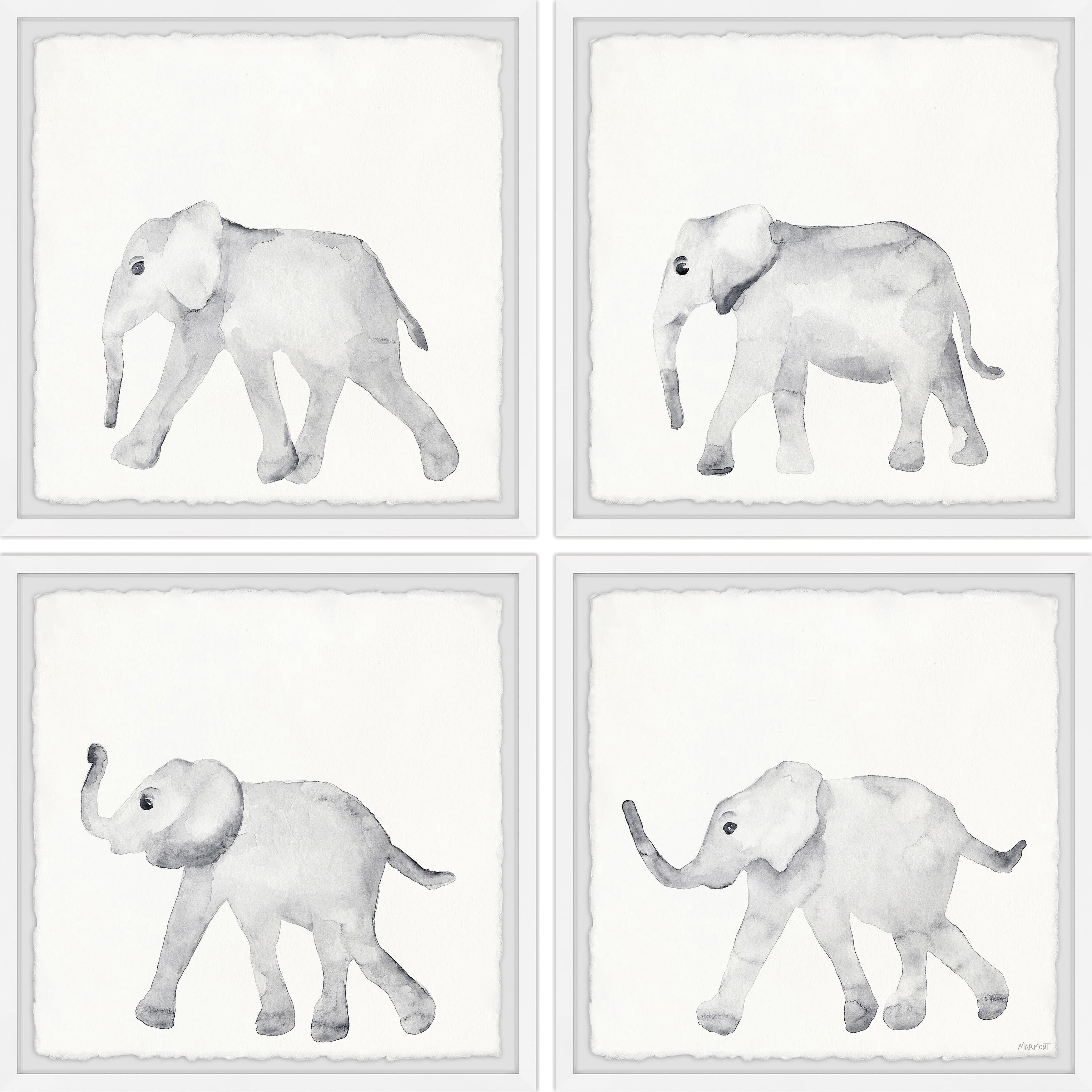Marmont Hill Printed Wildlife Framed Art Prints, Set of 4