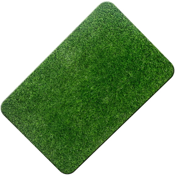 ACDANC Artificial Grass Door Mat Artificial Grass Turf Front Door Mat Artificial Grass Outdoor Rug