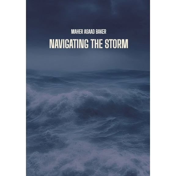 Navigating the storm, (Paperback)