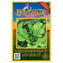 Everwilde Farms - 2000 Florida Broadleaf Mustard Seeds - Gold Vault Jumbo Bulk Seed Packet