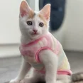 thumbnail image 5 of Cartoon Fleece Pet Cat Clothes Winter Warm Pet Dog Vest Puppy Cat Sweater Dog Clothes For Small Dogs Cats Coat Jacket Pet Outfit, 5 of 5