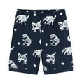thumbnail image 3 of shoper Boys Summer Outfits Size 16 Short Sleeve Tops and Shorts Set Dinosaur Print Crewneck Loose Party Outfits Boys' Two Piece Summer Set Navy 100, 3 of 5