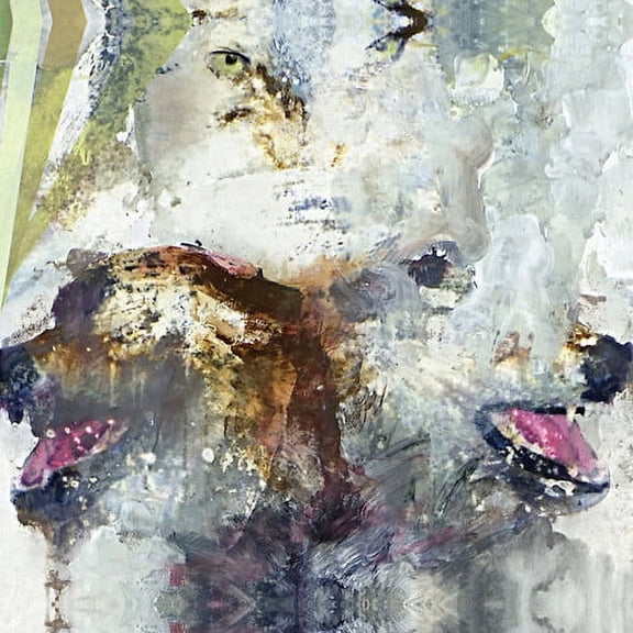 These Arms Are Snakes - Tail Swallower and Dove - Music & Performance - CD