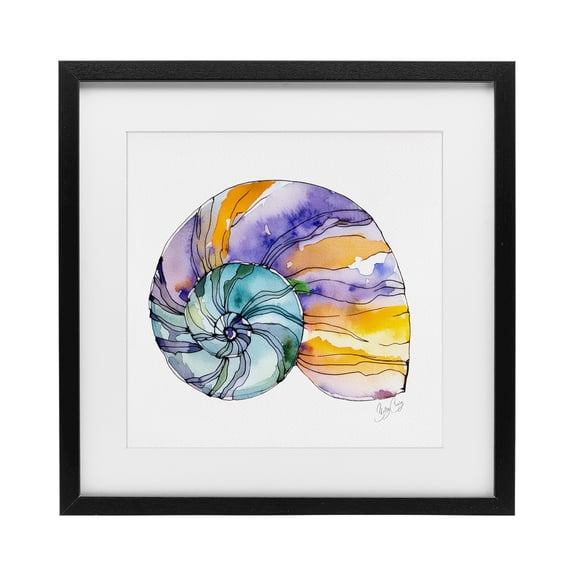 Stupell Industries Contemporary Sunlit Striped Nautilus Black Framed Print Under Glass, 13 x 13, by Shelly Craig