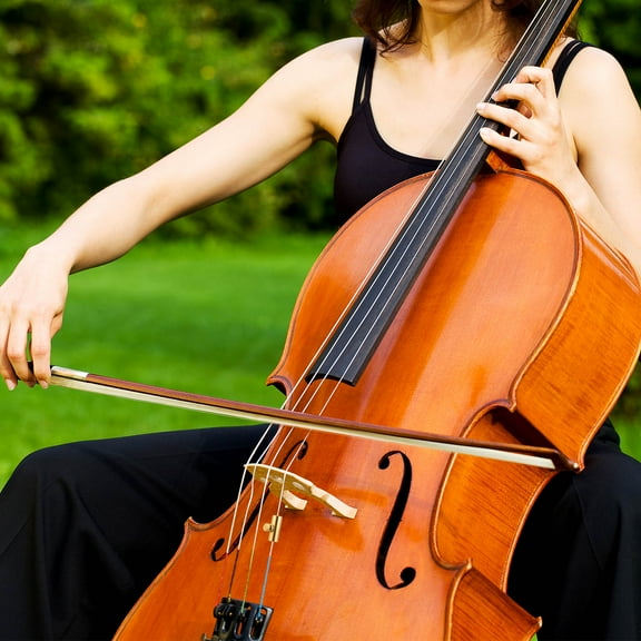 NICERIO Metal Violin Tuner with Accessories Set - Precision String Tuning Tool for Violin Players