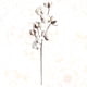thumbnail image 5 of 1 ramo de flores de algodón natural, seco, deshidratado, para decoración (blanco), 5 of 6
