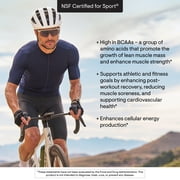 THORNE - Amino Complex - Clinically-Validated EAA and BCAA Powder for Pre or Post-Workout - Promotes Lean Muscle Mass & Energy Production* - NSF Certified for Sport - 30 Servings - 8.15 Oz - Berry