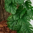 thumbnail image 5 of Artificial Reptile Terrarium Plants With Suction Cups Hanging Monstera Decor For Amphibian Habitat Tank Setup, 5 of 8