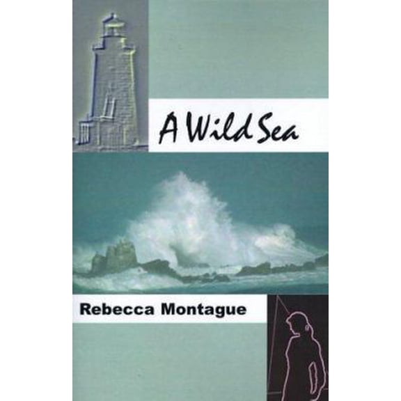 Pre-Owned A Wild Sea (Paperback) 0967120322 9780967120324