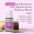 thumbnail image 6 of Pranarom Digital Detox Aroma Blend 5ml for Relaxation & Stress Relief, 6 of 7