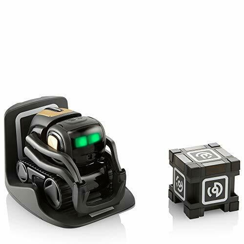home robot vector