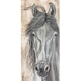 thumbnail image 2 of Fifer, Diane 14x24 Gold Ornate Wood Framed with Double Matting Museum Art Print Titled - Neightural Beauty, 2 of 4