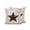 Beige, variant on Outdoor Pillows Waterproof, American Country Bedding Throw Pillows with Insert for Couch Sofa Bed, Farmhouse Barn Star Brown Berry 16x16 Inch Pillowcases Decorative Camping Patio Pillow Set of 2
