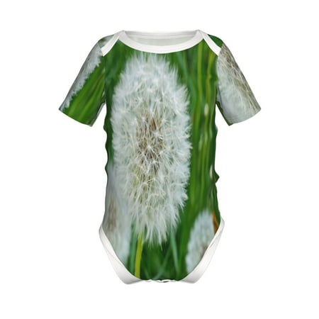

Junzan Dandelion Flower In The Meadow Print Short-Sleeve Baby Climbing Clothes Bodysuits for Infant One-Piece for Baby Boys & Girls Baby Clothes Baby Romper with Snap Closure-18 Months