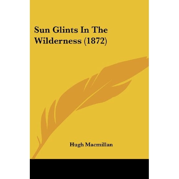 Sun Glints in the Wilderness
