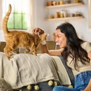 Meow Mix Original Choice Dry Cat Food, 16 lb. Bag