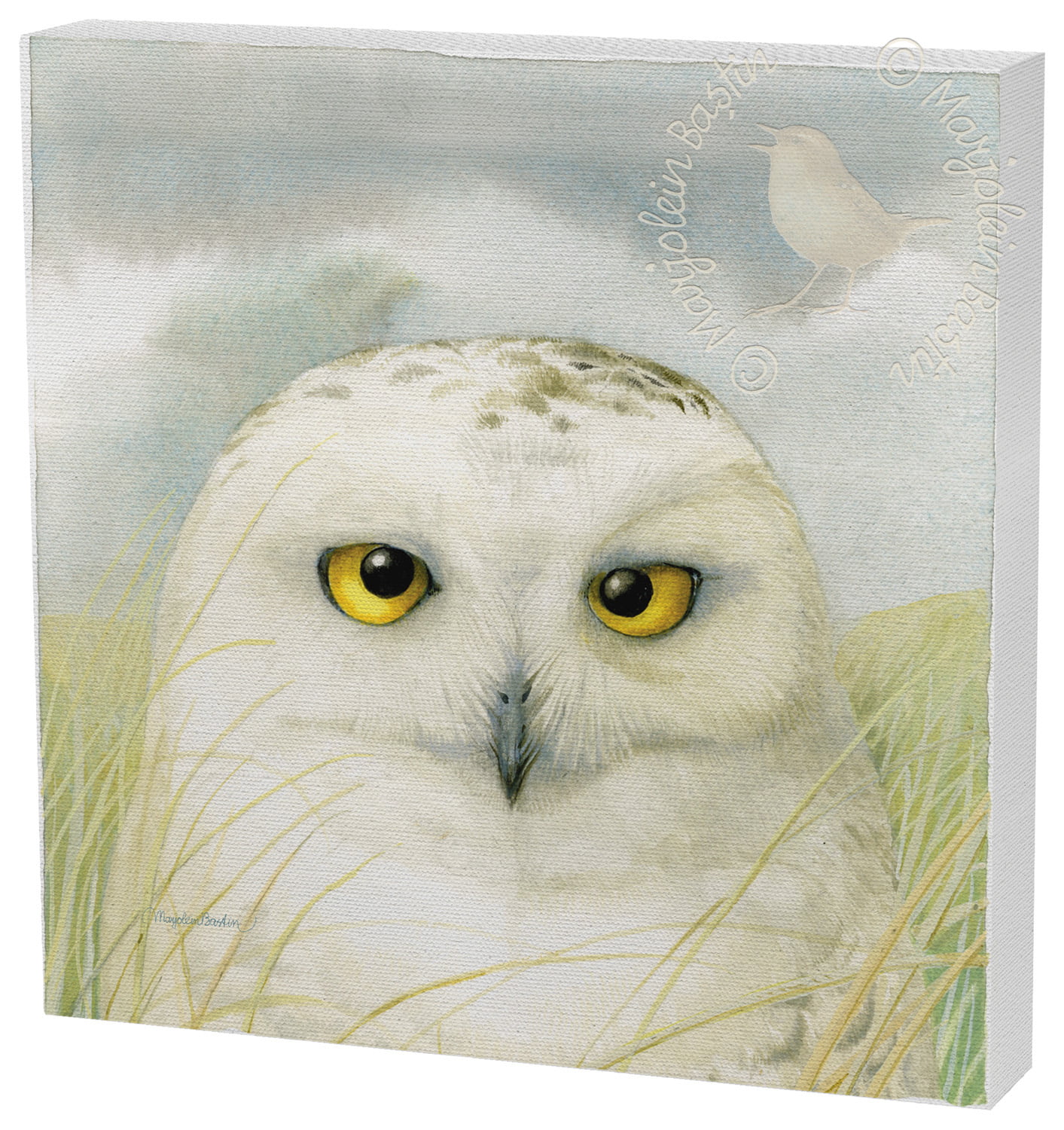 Marjolein Bastin Snowy Owl Wisdom 12 x 12 Gallery Wrapped Canvas 