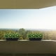 thumbnail image 1 of unbranded Maceta Rectangular Resistente Para Y Plantas Con Para, 1 of 6