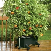 EarthBox Container Gardening System - Black